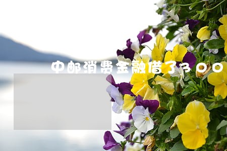 中邮消费金融借了3000逾期 中邮消费金融借了3000逾期