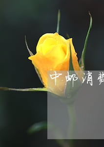 中邮消费金融只还本金 中邮消费金融只还本金