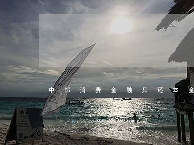 中邮消费金融只还本金可以吗 中邮消费金融只还本金可以吗