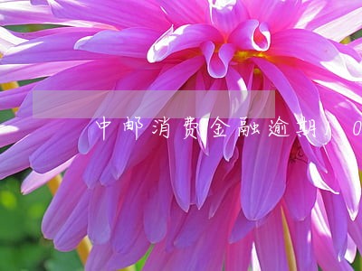 中邮消费金融逾期100天 中邮消费金融逾期100天