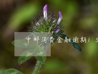 中邮消费金融逾期1500 中邮消费金融逾期1500