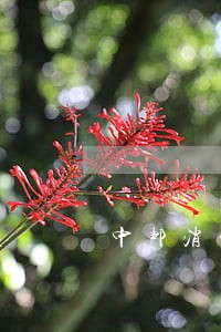 中邮消费金融逾期1个月可以吗 中邮消费金融逾期1个月可以吗
