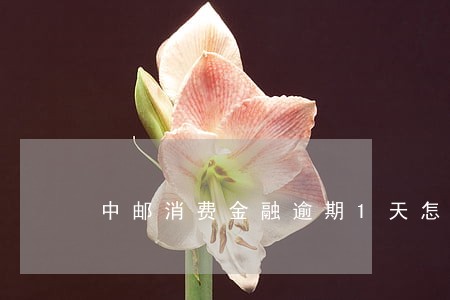 中邮消费金融逾期1天怎么办 中邮消费金融逾期1天怎么办