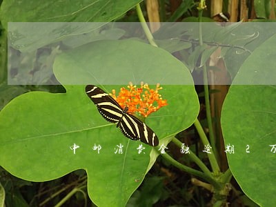 中邮消费金融逾期2万 中邮消费金融逾期2万