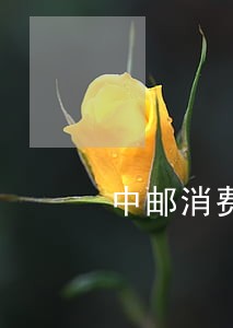 中邮消费金融逾期300天了