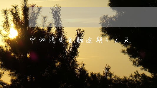 中邮消费金融逾期36天 中邮消费金融逾期36天