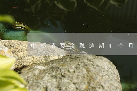 中邮消费金融逾期4个月还清了 中邮消费金融逾期4个月还清了