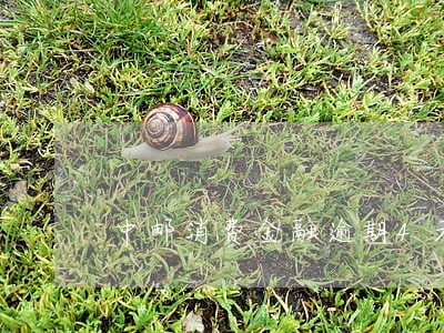 中邮消费金融逾期4天有影响吗 中邮消费金融逾期4天有影响吗