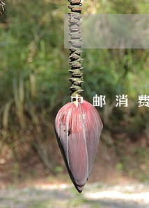 中邮消费金融逾期6条 中邮消费金融逾期6条
