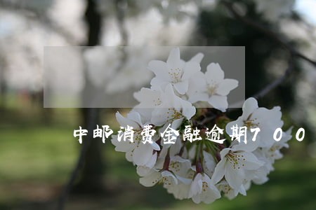 中邮消费金融逾期7000 中邮消费金融逾期7000