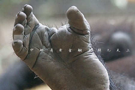 中邮消费金融逾期几天上征信6 中邮消费金融逾期几天上征信6