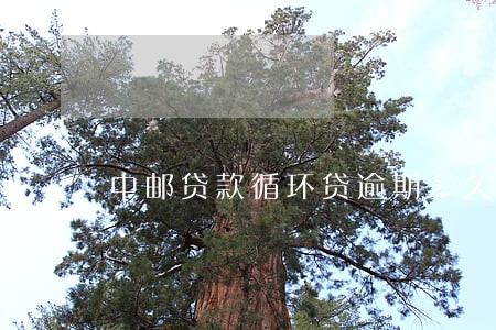 中邮贷款循环贷逾期多久 中邮贷款循环贷逾期多久