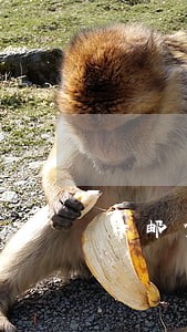 中邮贷款逾期1天怎么办 中邮贷款逾期1天怎么办