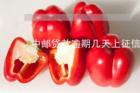 中邮贷款逾期几天上征信 中邮贷款逾期几天上征信