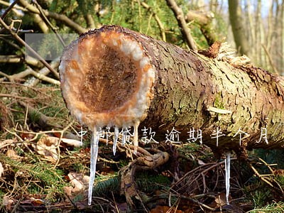 中邮贷款逾期半个月 中邮贷款逾期半个月