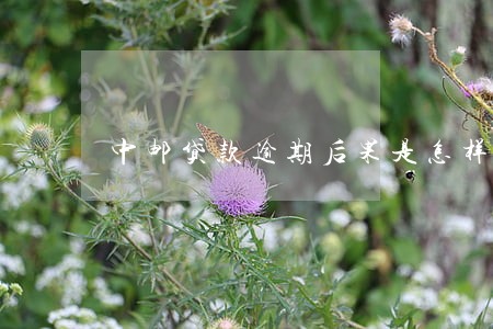 中邮贷款逾期后果是怎样 中邮贷款逾期后果是怎样