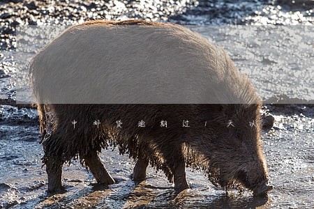 中邮贷逾期过1天以后还能网贷吗 中邮贷逾期过1天以后还能网贷吗