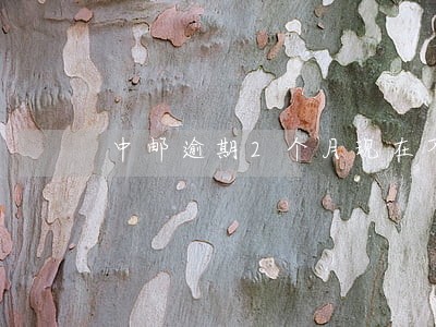 中邮逾期2个月现在不打电话了 中邮逾期2个月现在不打电话了