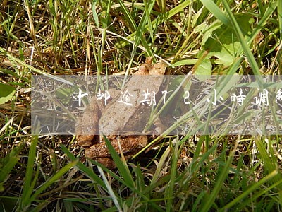 中邮逾期72小时调解 中邮逾期72小时调解