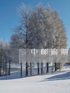 中邮逾期会上芝麻信用分吗 中邮逾期会上芝麻信用分吗