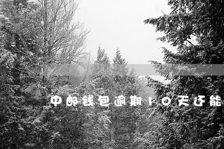 中邮钱包逾期10天还能用吗吗 中邮钱包逾期10天还能用吗吗