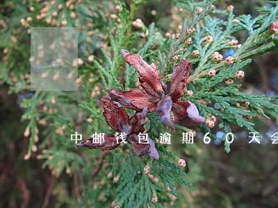 中邮钱包逾期60天会上门吗 中邮钱包逾期60天会上门吗