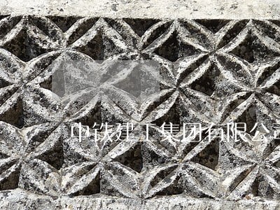 中铁建工集团有限公司法人 中铁建工集团有限公司法人