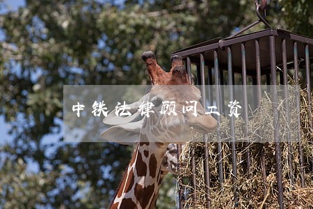 中铁法律顾问工资