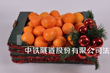 中铁隧道股份有限公司法律顾问 中铁隧道股份有限公司法律顾问