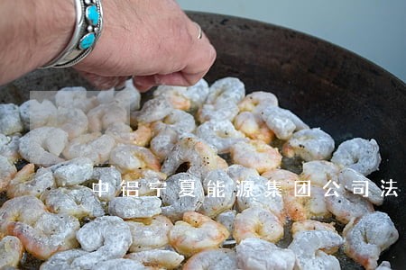中铝宁夏能源集团公司法律顾问