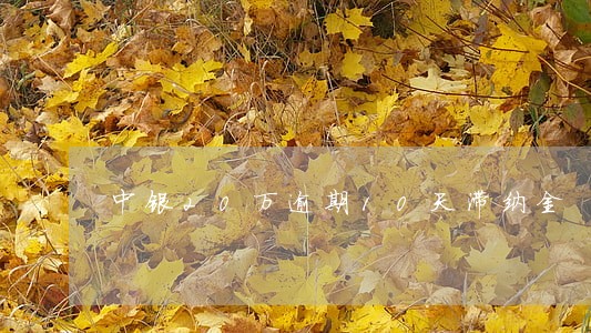 中银20万逾期10天滞纳金 中银20万逾期10天滞纳金
