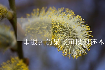 中银e贷呆帐可以只还本金吗 中银e贷呆帐可以只还本金吗
