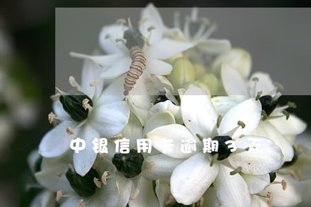 中银信用卡逾期3天 中银信用卡逾期3天