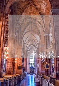 中银信用卡逾期一个月还能还吗 中银信用卡逾期一个月还能还吗