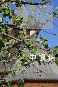 中银信用卡逾期后果 中银信用卡逾期后果
