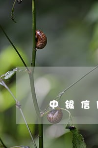 中银信用卡逾期新办储蓄卡