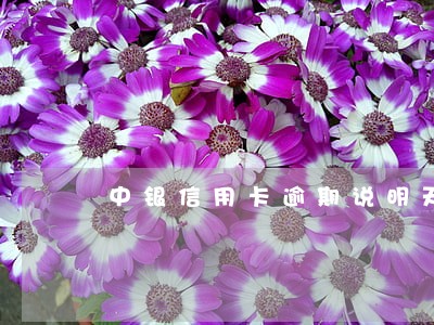 中银信用卡逾期说明天上门请收