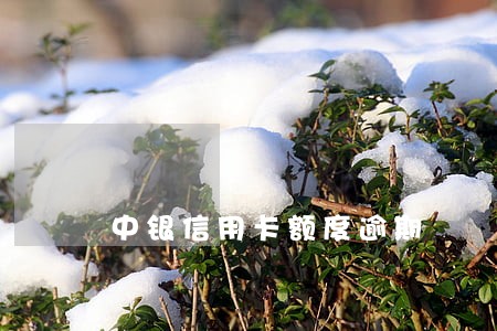 中银信用卡额度逾期 中银信用卡额度逾期