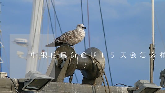 中银信用贷逾期15天会怎么样 中银信用贷逾期15天会怎么样