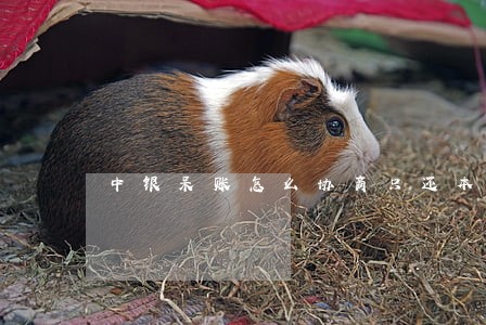 中银呆账怎么协商只还本金 中银呆账怎么协商只还本金