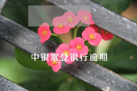 中银富登银行逾期 中银富登银行逾期