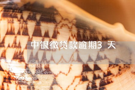 中银微贷款逾期3天 中银微贷款逾期3天
