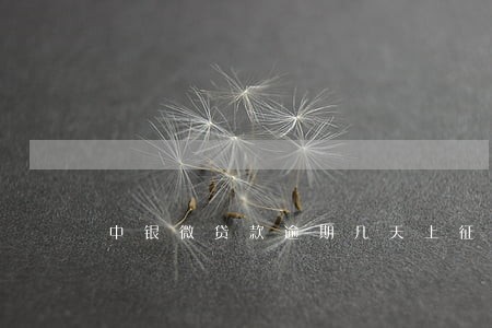 中银微贷款逾期几天上征信 中银微贷款逾期几天上征信