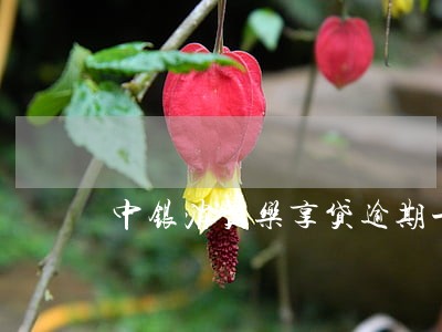 中银消费乐享贷逾期一天65元 中银消费乐享贷逾期一天65元