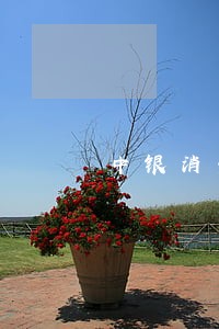 中银消费乐贷款逾期 中银消费乐贷款逾期