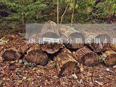 中银消费分期逾期4期 中银消费分期逾期4期