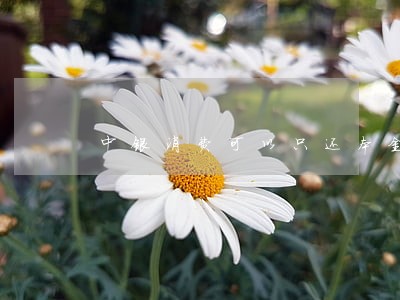 中银消费可以只还本金吗
