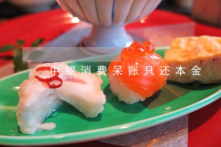 中银消费呆账只还本金 中银消费呆账只还本金