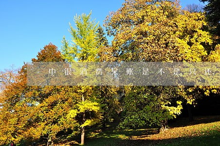 中银消费呆账是不是只还本金 中银消费呆账是不是只还本金