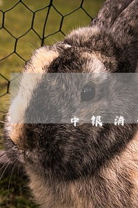 中银消费您的信用卡已逾期 中银消费您的信用卡已逾期